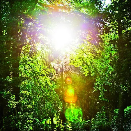 Gutshaus Apartamento *