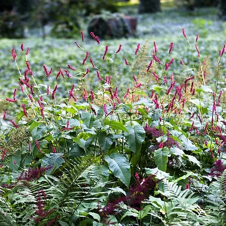 Gutshaus Apartamento Landsdorf