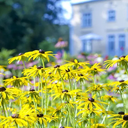 Gutshaus Apartamento *